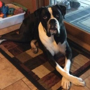 Meet your Posher, John